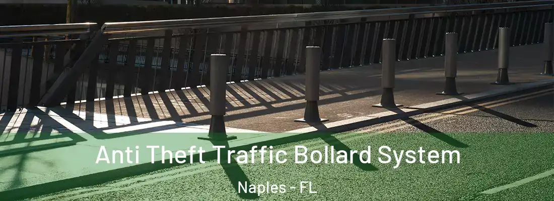 Anti Theft Traffic Bollard System Naples - FL