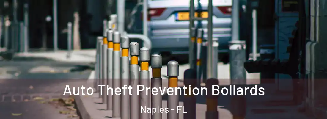 Auto Theft Prevention Bollards Naples - FL