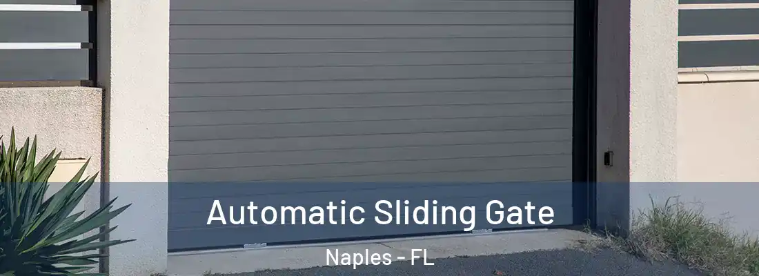 Automatic Sliding Gate Naples - FL