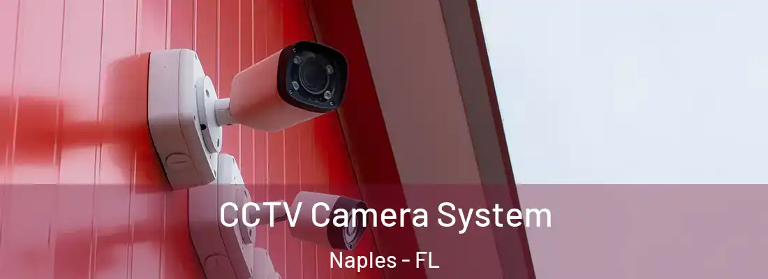 CCTV Camera System Naples - FL