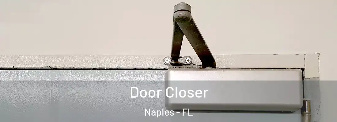 Door Closer Naples - FL
