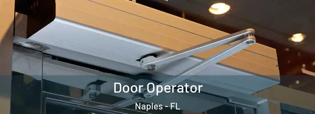  Door Operator Naples - FL