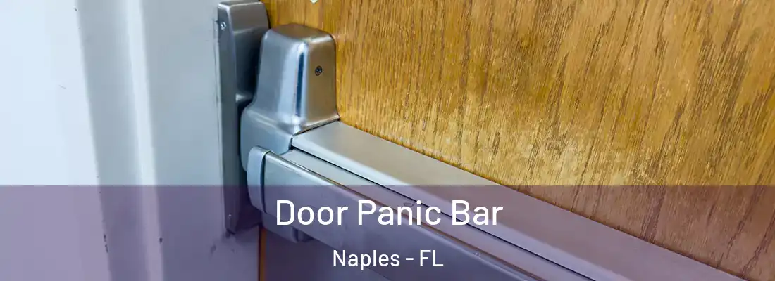 Door Panic Bar Naples - FL