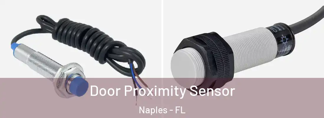 Door Proximity Sensor Naples - FL