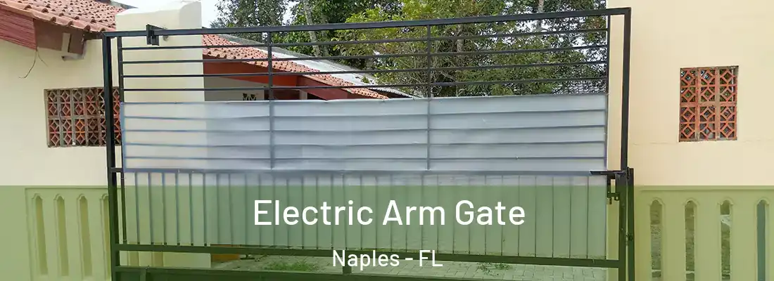 Electric Arm Gate Naples - FL