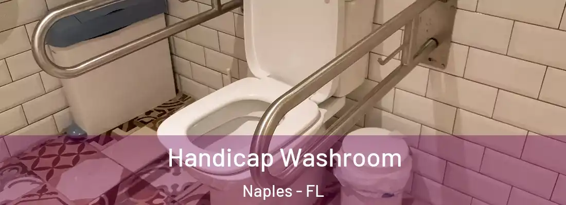 Handicap Washroom Naples - FL