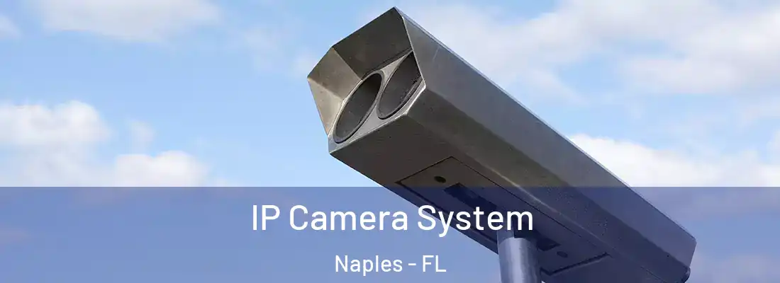 IP Camera System Naples - FL