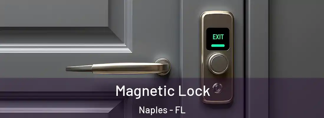 Magnetic Lock Naples - FL
