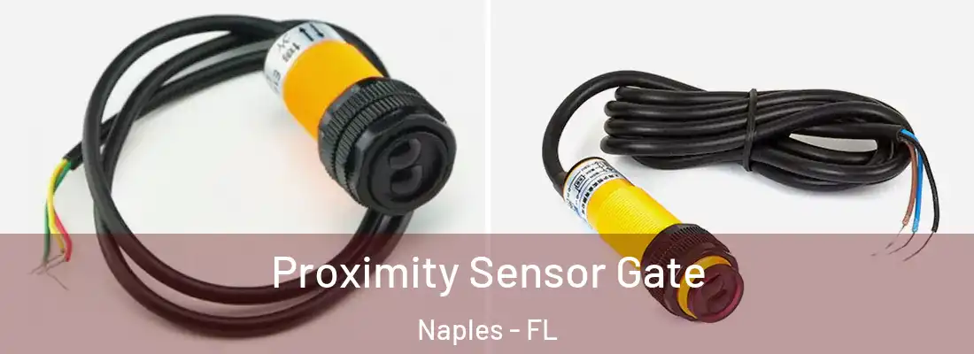  Proximity Sensor Gate Naples - FL