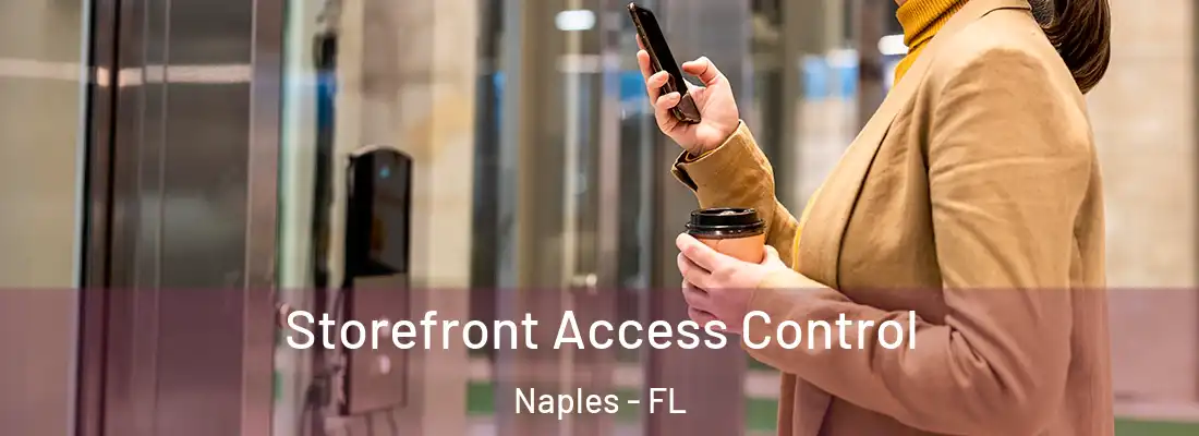 Storefront Access Control Naples - FL