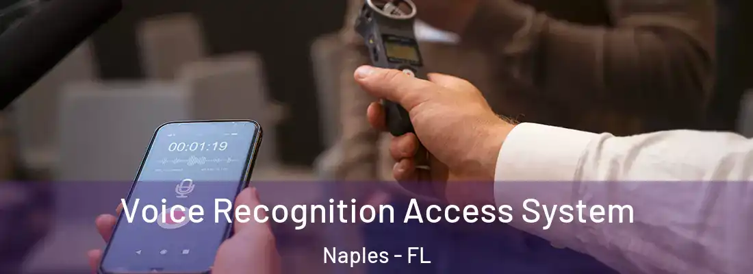 Voice Recognition Access System Naples - FL